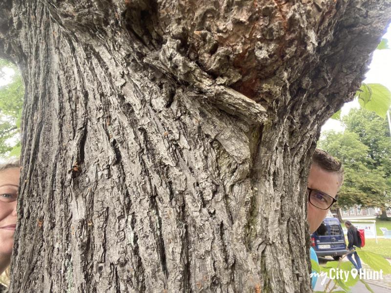 myCityHunt Scavenger Hunt 14