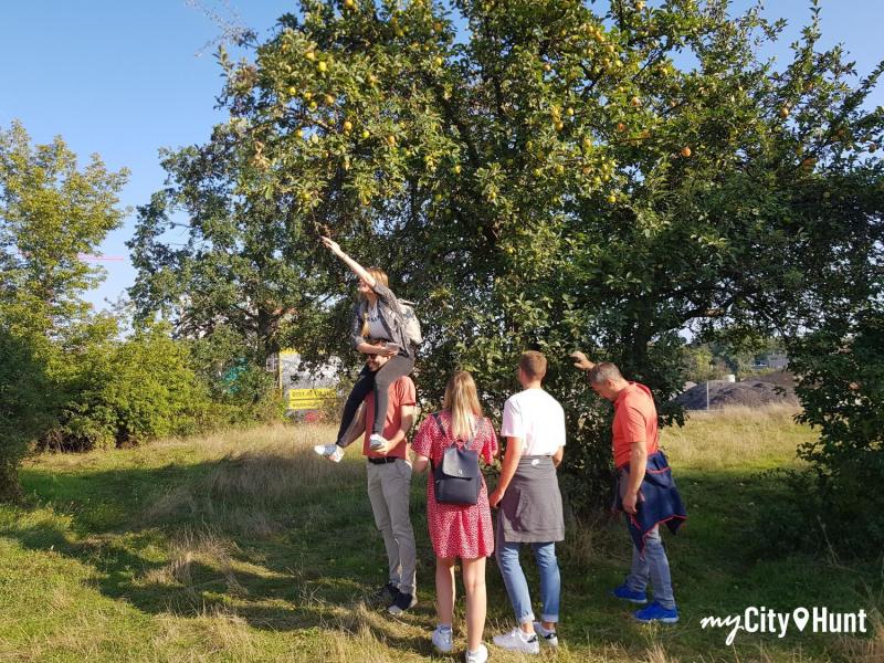 myCityHunt Scavenger Hunt 15