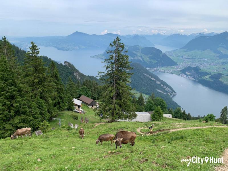 myCityHunt Scavenger Hunt 1