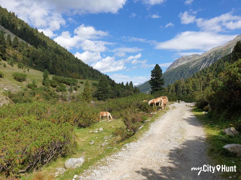 myCityHunt Scavenger Hunt 14