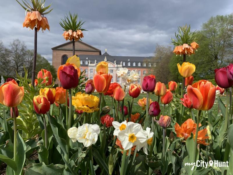 myCityHunt Scavenger Hunt 3