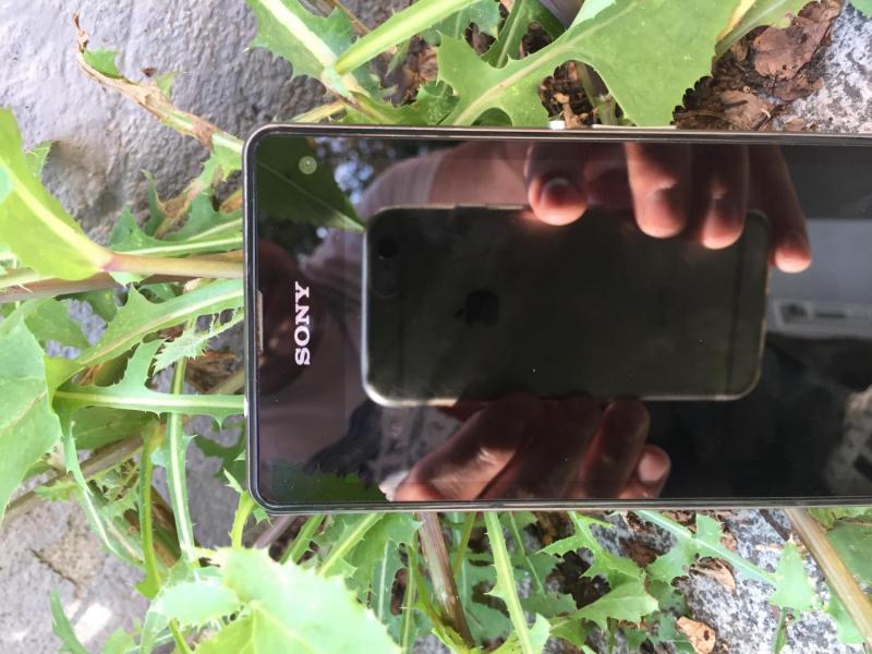 myCityHunt Scavenger Hunt 10