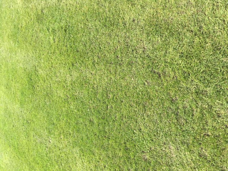 myCityHunt Scavenger Hunt 15